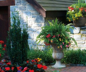 Dozens of container gardens fill the patios and pool areas. Created by John, they are composed of favorites such as lantana, geraniums, vinca, begonias, impatiens and ferns, as well as new finds like papyrus and Pencil Holly.  