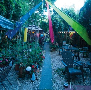 The center of the backyard is dedicated to growing vegetables and herbs in containers. The colorful flags are a memento of a vacation in California.  