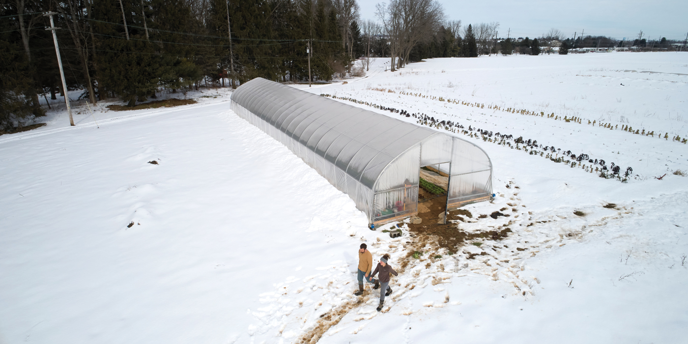 The journey of a Red Stick Farmers Market crop, from greenhouse to