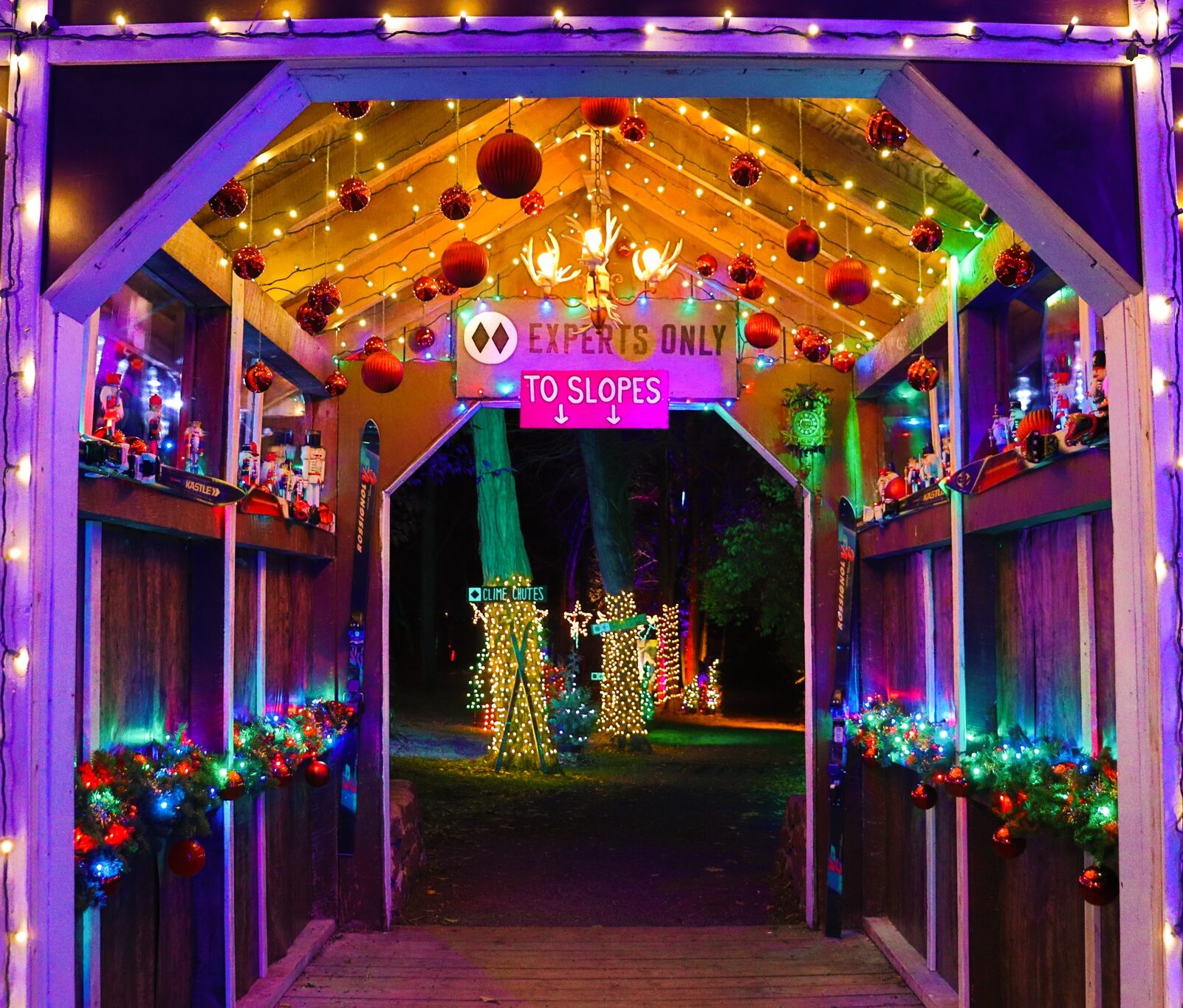 Top 12 ToDos for December 2022